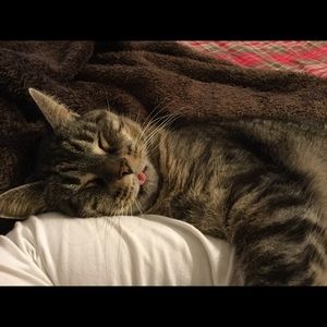 Meet your Posher, Erica